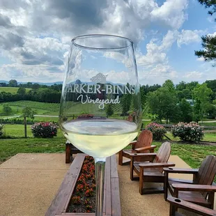 a glass of white wine