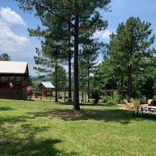 picnic tables and picnic area