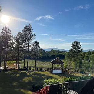 Parker-Binns Vineyard