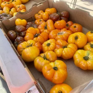 Heirloom tomatoes