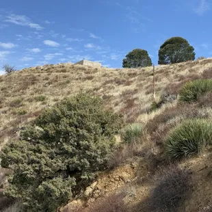 There is the side of the concrete foundation of the old fire lookout.  The two trees are very visible from a distance.
