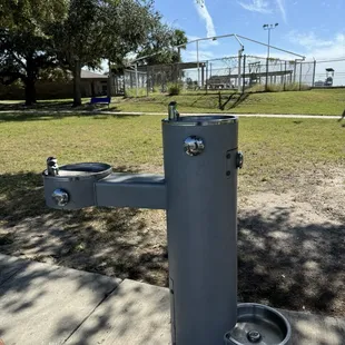 Water fountain for a pet as well