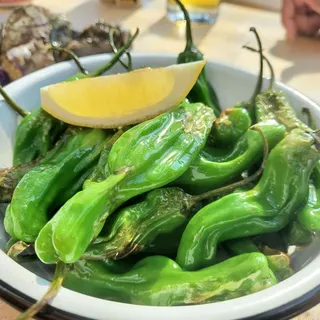 Shishito peppers