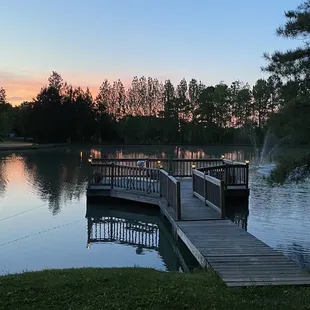 I took this pic 5-8-22 on Mother's Day. Lots of wildlife too.