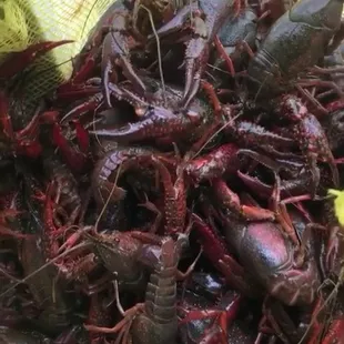 a basket full of craws