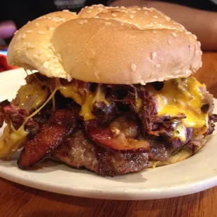 a cheeseburger on a plate