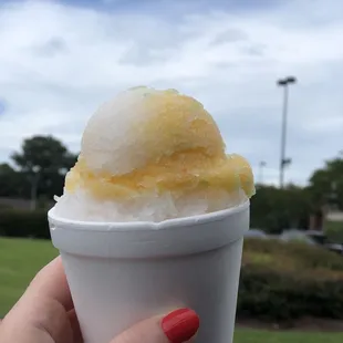 Parkers Water Ice