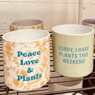 The cutest planters!