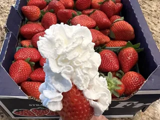 Yummy Farms