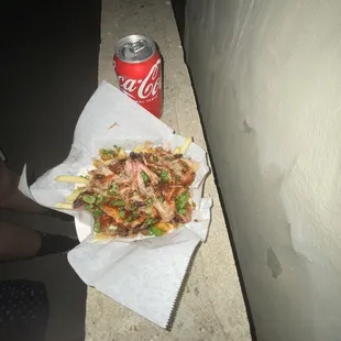 It&apos;s kind of blurry but here&apos;s just a basic overlook of what the loaded fries with pulled pork look like you can also get it with brisket!!