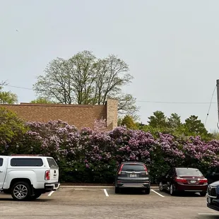 cars parked in a parking lot