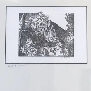 Art, pen &amp;ink Devils Tower by Jeanne Trueax.