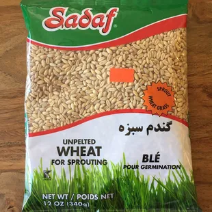 Unpelted wheat, gandom