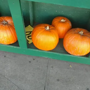 Pumpkin season.... Why not!