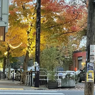 a city street with parked cars