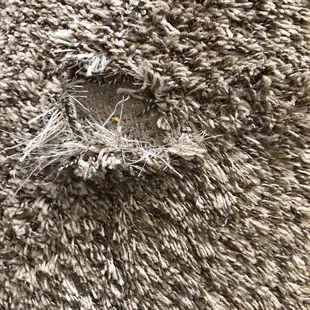 Carpet that they refused to repair