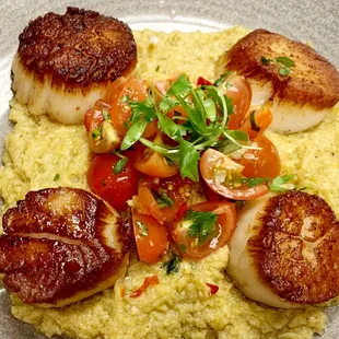 Scallops