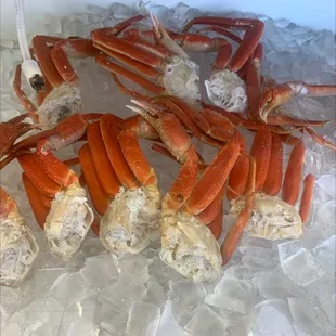 Snow Crab Legs