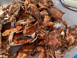 Coveside Crabs