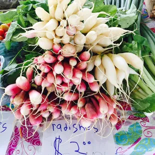 Organic radishes.  08/30/2017