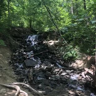 Parkville Nature Sanctuary