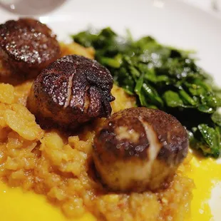 Wild Dry Porcini Crusted Scallops