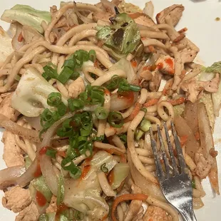 Chicken udon noodles