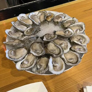 More oysters