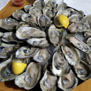 2 trays full of cold delicious oysters! Happy hour price is only $8/dozen
