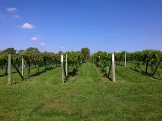 Woodland Hill Winery