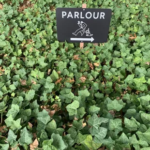 a sign in a field of vines