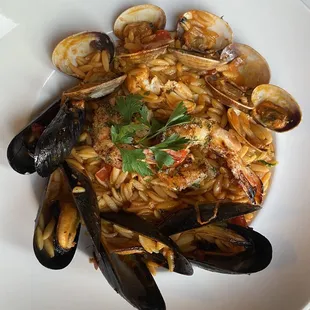 oysters, mussels, oysters and mussels, shellfish, food