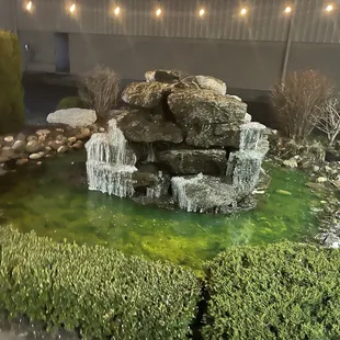 a water feature in a garden