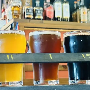 a row of beer glasses