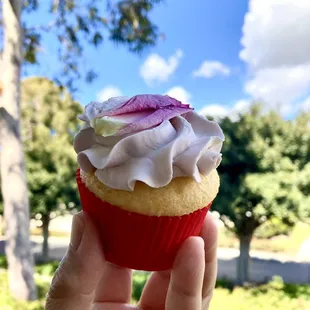 A cupcake