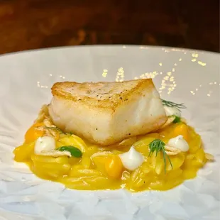 Pacific halibut, dill, on top of orzo