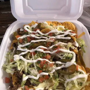 Nachos with carne asada