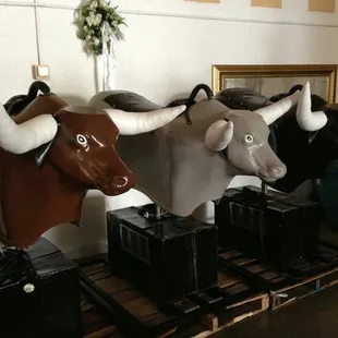 We love our mechanical bulls.