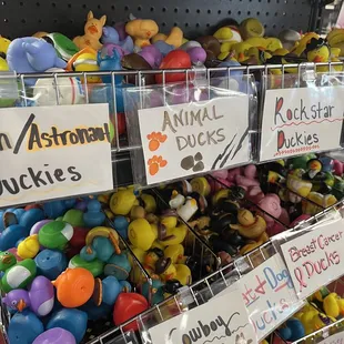 Ducks and more ducks