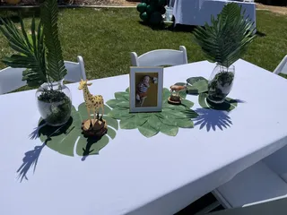 Figueroa Brothers Party Rentals