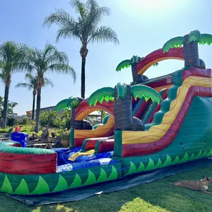 17' dual lane tropic thunder waterslide