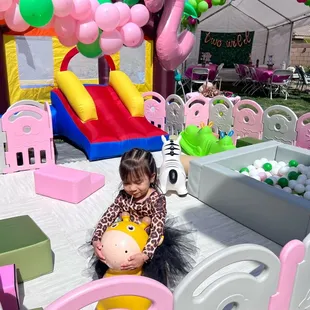 Customized safari mini package. Switched out the blue colors for pink