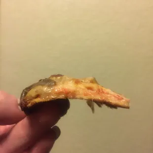 a hand holding a piece of pizza