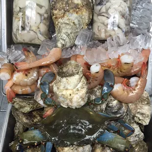 a display of fresh seafood