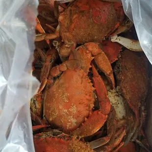 1/2 bushel of crabs...yum