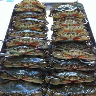 a tray of steamed crabs