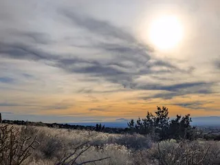 Cibola National Forest