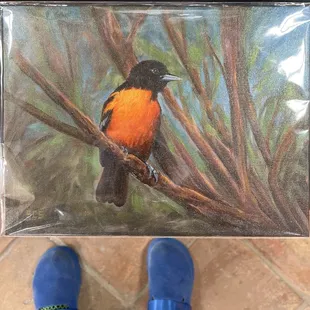 Print by Stephen Shirly