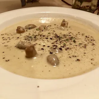 Cream of Mushroom