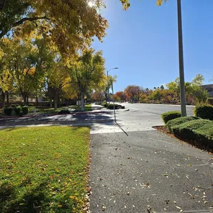 Gorgeous fall colors  around the area